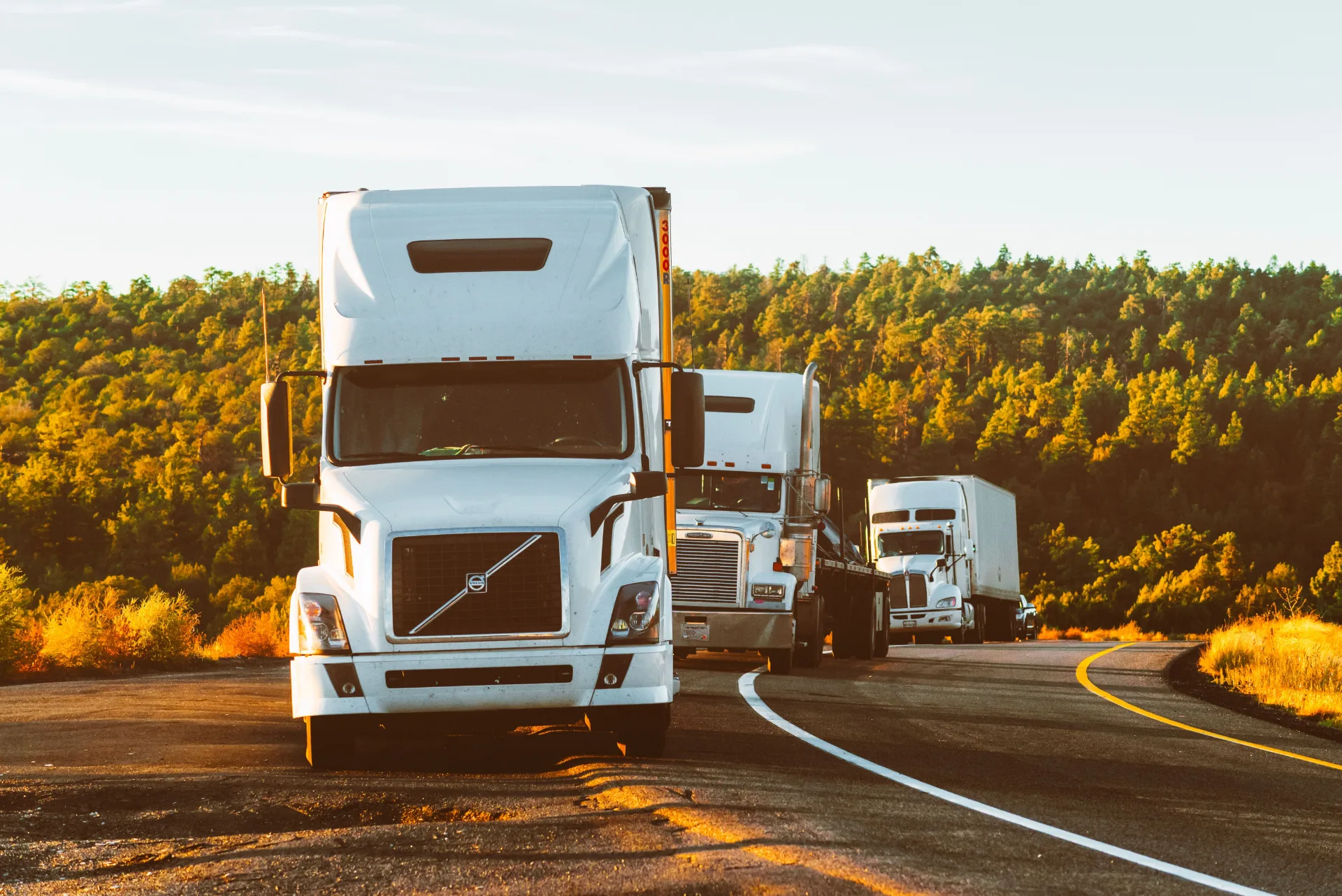Convoy of white semi trucks on a forest highway at golden hour